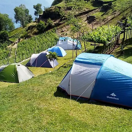 Camping Colle Vento キャンプ場 *